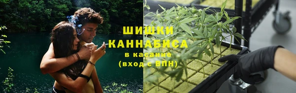 дмт Богданович