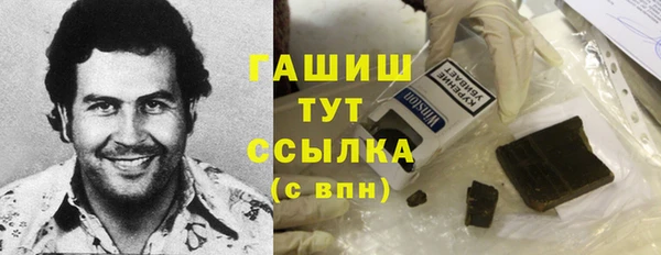 дмт Богданович