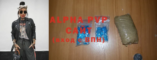 дмт Богданович