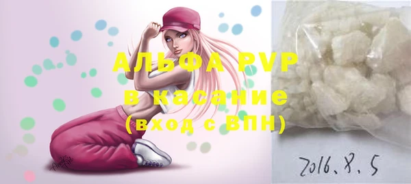 дмт Богданович