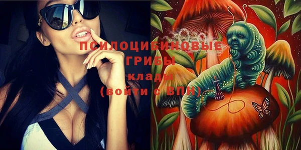 дмт Богданович