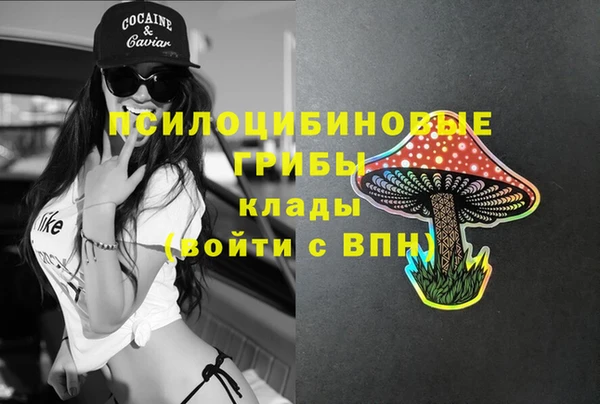 дмт Богданович