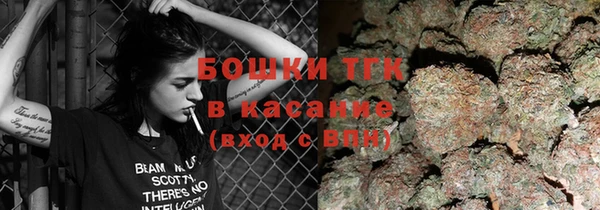 дмт Богданович