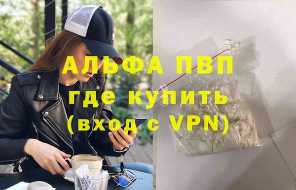 дмт Богданович