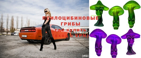 mdpv Богородск