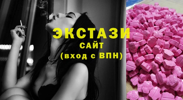 дмт Богданович