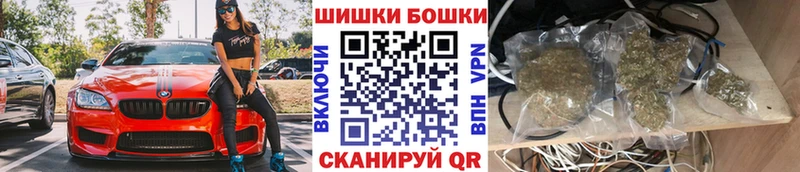 где можно купить наркотик  мега ссылки  Каннабис семена  Курильск 